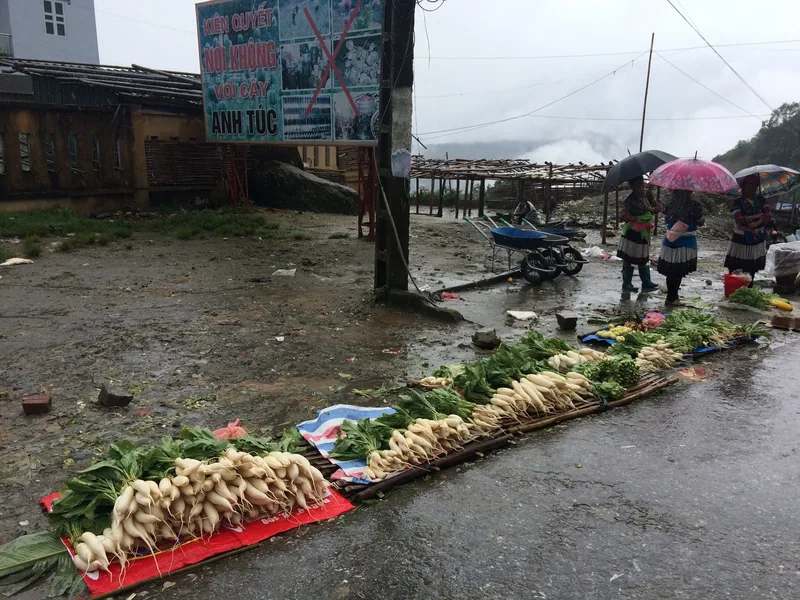 Fresh radishes and greens laid out on mats along a rainy street market in Lai Chau, Vietnam.