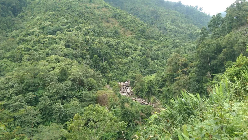 Dense green forest covers steep hills with a rocky stream bed visible below in Lai Chau province.